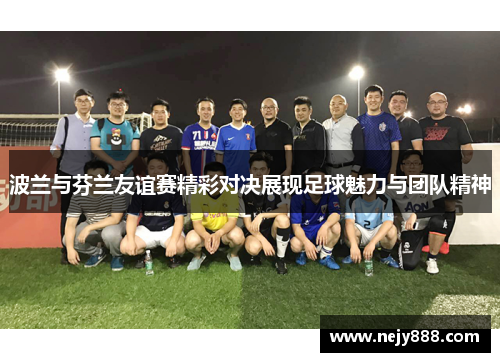 波兰与芬兰友谊赛精彩对决展现足球魅力与团队精神