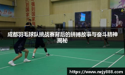 成都羽毛球队挑战赛背后的拼搏故事与奋斗精神揭秘